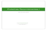 4. Proteinas Recombinantes I