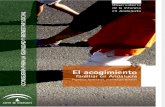 OIA Acogimiento-Andalucia-2008