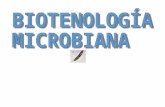 Microorganismos en Biotecnologia