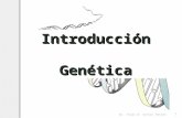 Introduccion a La Genetica