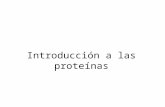 Introducción a Las Proteínas