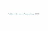Vitaminas para mappingGIS