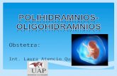 Polihidramnios.clase Obstetricijja.noviembre 2012 Medicina