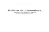 Medición del crecimiento de microalgas