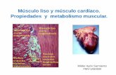 3-Neuro-M. Liso y M. Cardíaco