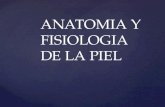 Anatomia y Fisiologia de La Piel