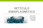 Retículo endoplasmático