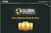 1.4 5 Pasos Garantia de Exito - Global InterGold