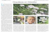 150903 La Verdad CG- Orquídeas en Gibraltar p.16