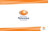 Portafolio Revistas Televisa 2014