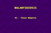 Balantidiosis - Bolivia