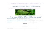 Proyecto de La Guanabana