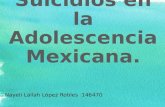 Suicidios en La Adolescencia Mexicana