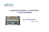 Curso Adquisiciones Fusiones y Escisiones.pdf