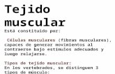 Bilogia Expo - Tejido Muscular