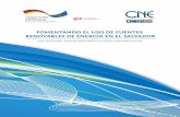 Documento Final Sobre Uso de Fuentes Renovables de Energa (CNE)