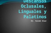 Clase 5 Apoyos y Descansos Oclusales Linguales y Palatinos