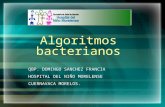 Algoritmos Bacterianos.ppt