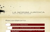 4. Norma Juridica