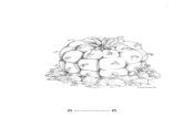 Lophophora williamsii EDITADO