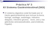 Sistema Gastrointestinal(SGI)