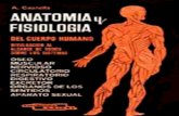 Anatomia y Fisiologia Del Cuerpo Humano