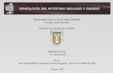 Presentacion Intestino Delgado y Grueso
