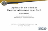 Aplicación de Medidas Macroprudenciales.pdf