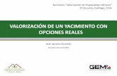 4 - Valorizacion Opciones Reales - JI Guzman - GEM (1)