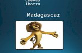 Disertacion MADAGASCAR