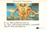 La Radionica y La Anatomia Sutil Del Hombre