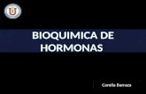 Bioquimica de Hormonas