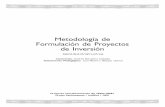Guia2a Metodologia Proyectos Inversion