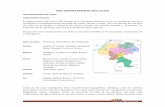 Analisis de Situacion Salud Cauca 2011 (1)