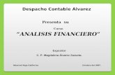 Analisis Financieros NICARAGUA 2013