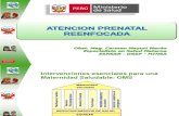 1-Atencion Prenatal Reenfocada (1)