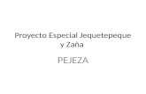 Proyecto Especial Jequetepeque y Zaña Leoo