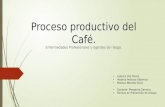 Proceso Productivo Del Café