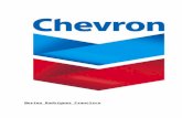 CHEVRON (petrolera).docx