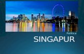 SINGAPUR - ANALISIS DE COMERCIO INTERNACIONAL
