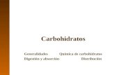 3. Carbohidratos
