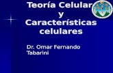Caracteristicas y Teorias Celulares
