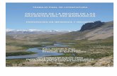 Geología de la región de las nacientes del Río Barrancas (Neuquén - Mendoza  - Argentina)