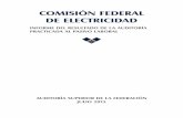 Comisión Federal de Electricidad, Informe Del Resultado de La Auditoría Practicada Al Pasivo Laboral