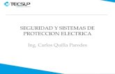 S1- Fundamentos de Seguridad y Protección Eléctrica