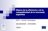 Mejora de la eficiencia y de la competitividad de la economía argentina INTI - Unión Europea SEGEMAR - INTEMIN Taller.