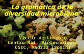 La gramática de la diversidad microbiana Víctor de Lorenzo Centro Nal. Biotecnologia CSIC, Madrid (Spain)