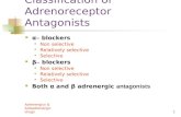 Adrenergics & Antiadrenergic drugs1 Classification of Adrenoreceptor Antagonists α – blockers Non selective Relatively selective Selective β – blockers.