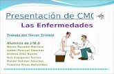 Presentación de CMC Las Enfermedades Trabajo del Tercer Trimestre Alumn@s de 1ºB.D Nerea Rosales Marrero Isabel Pascual Sánchez Andrea Díaz Bueno Ana.