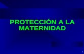 1 PROTECCIÓN A LA MATERNIDAD. 2 PROTECCIÓN A LA MATERNIDAD  Arts. 13, 43 y 53 C.N. / Arts. 236 y ss C.S. T. L. 755/02  PROTECCION CONSTITUCIONAL ESTABILIDAD.